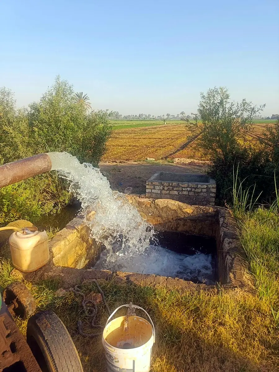 Irrigation at the farm