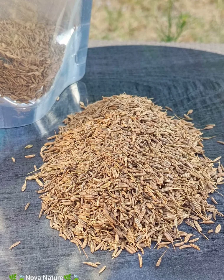 Egyptian cumin seed
