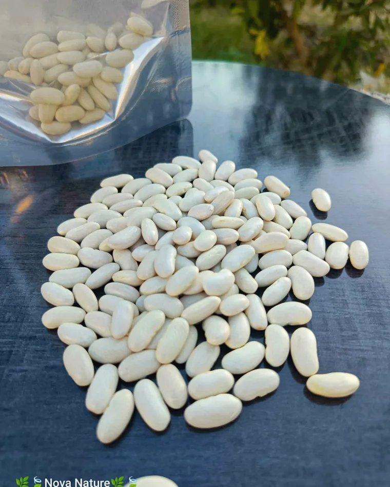 White kidney beans