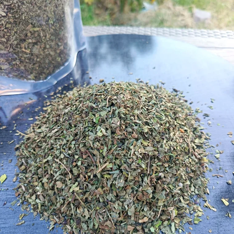 Basil