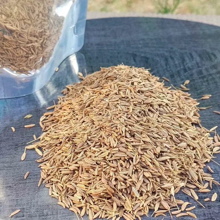 Caraway