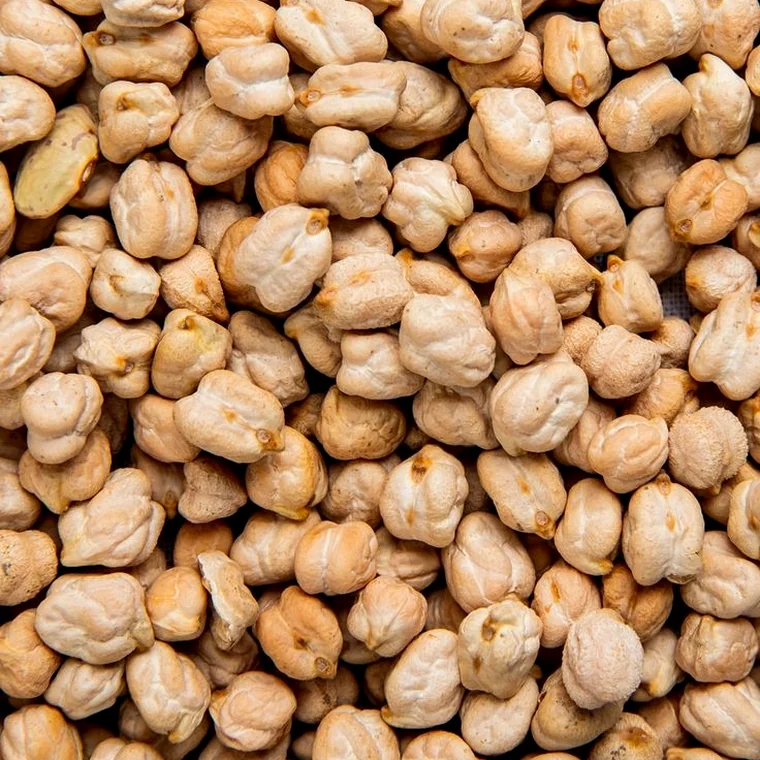Chickpea
