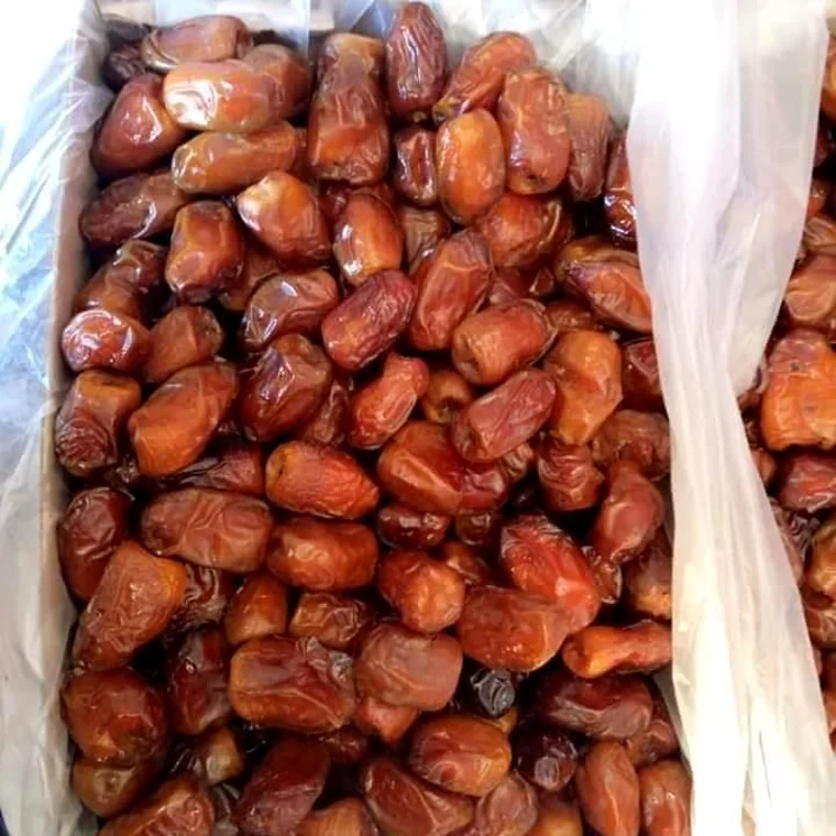 Dates Siwa Oasis