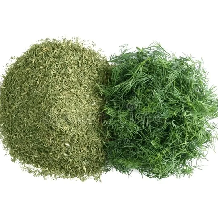 Dill