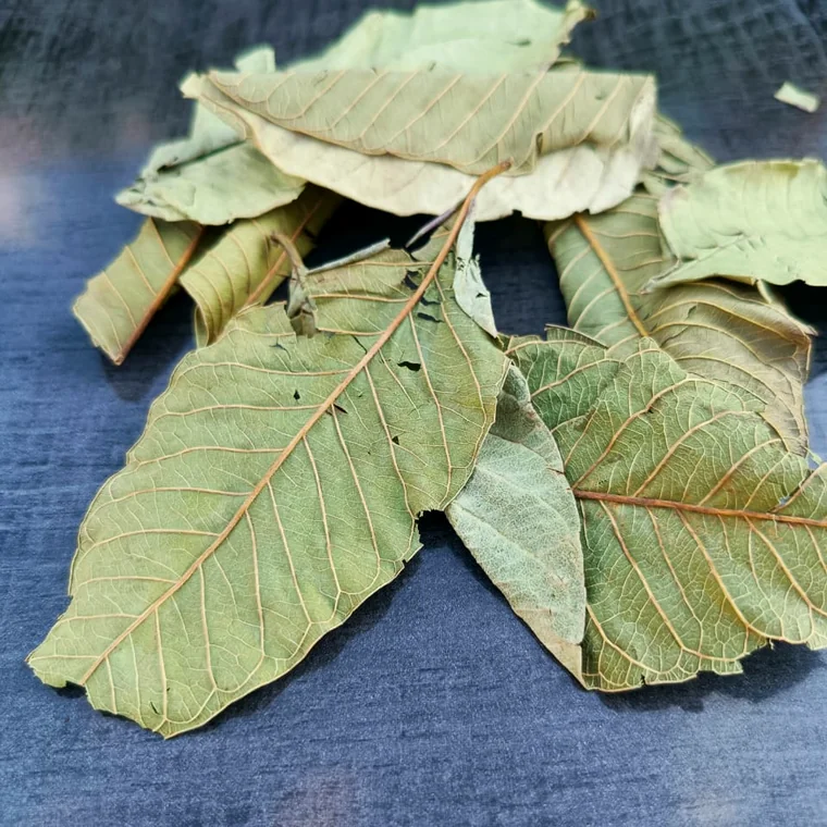 Guava