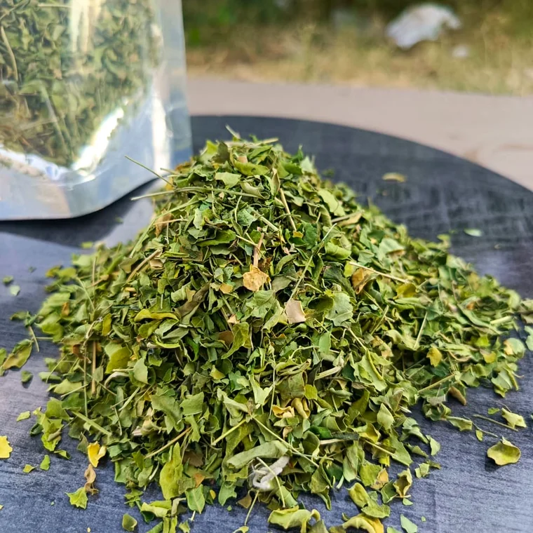Moringa
