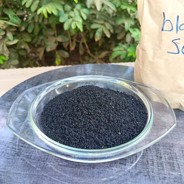 Black Seed (Nigella)