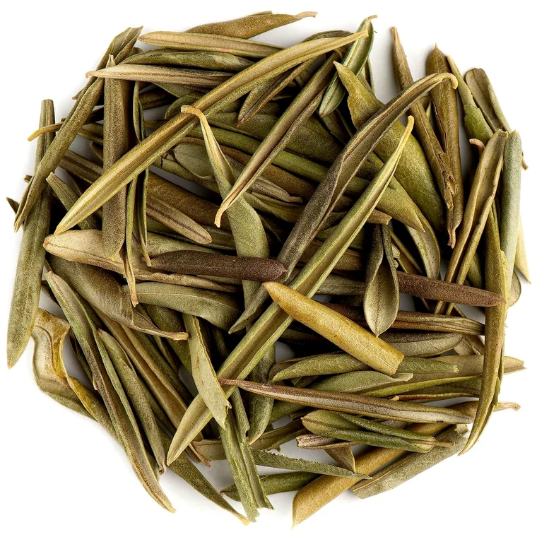 Olive Leaves