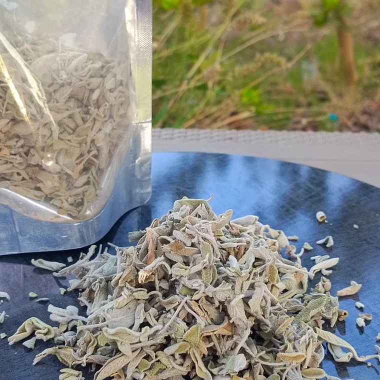 Sage