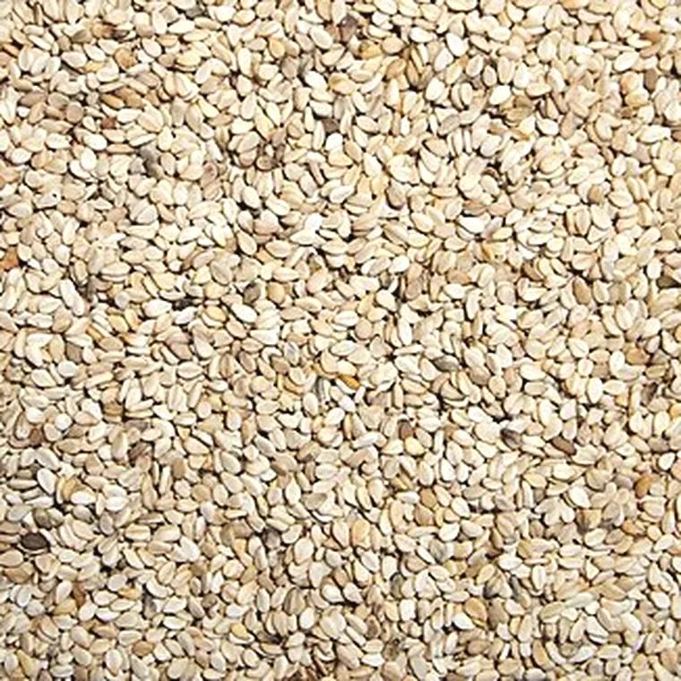 Sesame