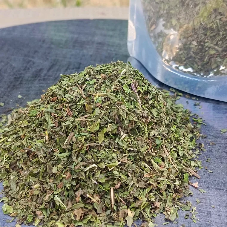 Spearmint