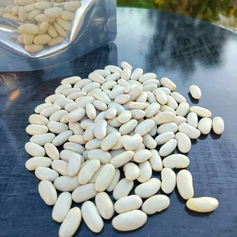 White Kidney Beans